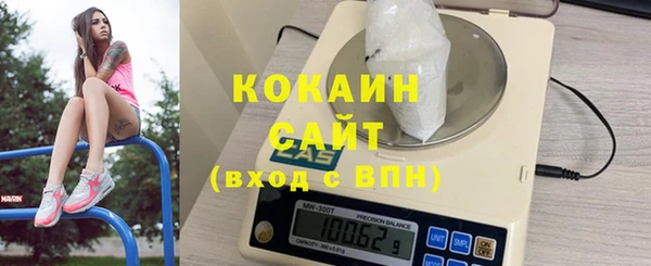 индика Аркадак